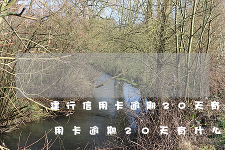 建行信用卡逾期20天有什么影響-建行信用卡逾期20天有什么影響嗎