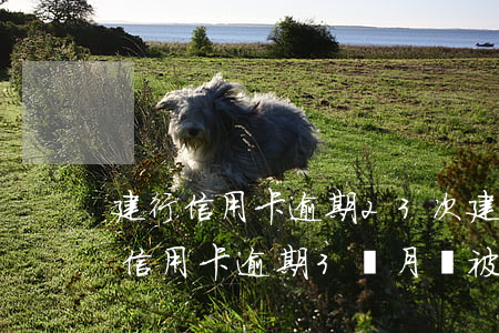 建行信用卡逾期23次(建設(shè)銀行信用卡逾期3個月會被起訴嗎)