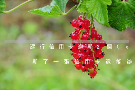 建行信用卡逾期2個(gè)月還能用嗎 逾期了一張信用卡還能辦嗎