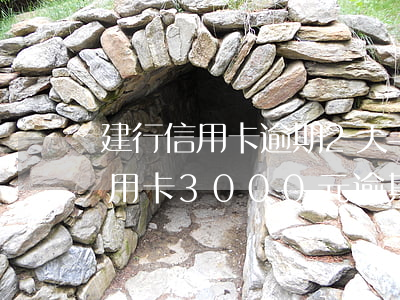 建行信用卡逾期2天手續(xù)費 建行信用卡3000元逾期150天