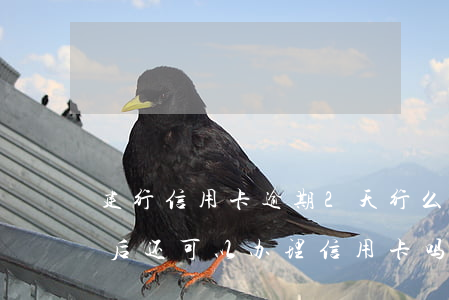 建行信用卡逾期2天行么(建设银行逾期过,以后还可以办理信用卡吗)