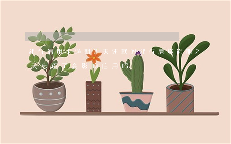 建行信用卡逾期2天还款吗(建行房贷逾期2天忘还了会影响信用吗)