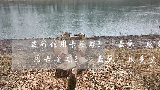 建行信用卡逾期2萬最低還款多少-建行信用卡逾期2萬最低還款多少錢
