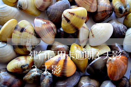 建行信用卡逾期3天影響嗎(建行信用卡逾期3天影響嗎)