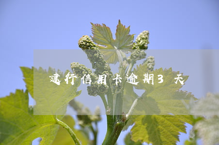 建行信用卡逾期3天滯納金10元