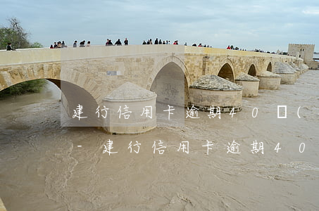 建行信用卡逾期40來(lái)天怎么辦-建行信用卡逾期40來(lái)天怎么辦理