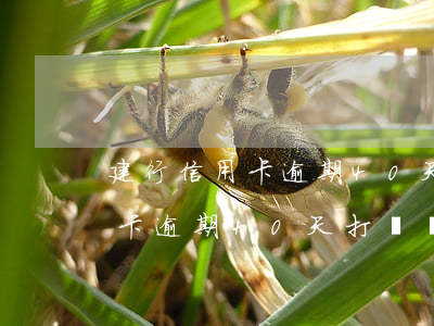 建行信用卡逾期40天打電話了-建行信用卡逾期40天打電話了怎么辦