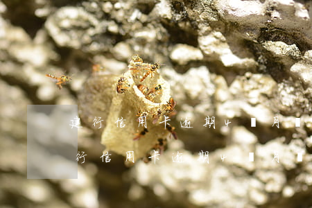 建行信用卡逾期4個月會到家里走訪嗎-建行信用卡逾期4個月會到家里走訪嗎