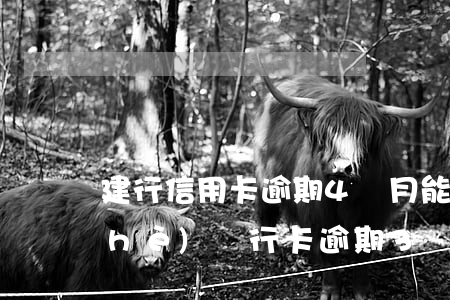 建行信用卡逾期4個月能解凍嗎-建設(shè)銀行卡逾期3個月我還能申請開通嗎