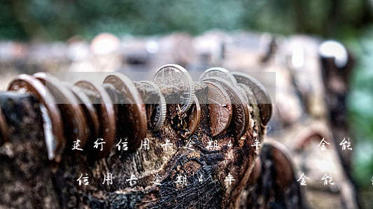建行信用卡逾期4年,滯納金能減免嗎?-建行信用卡逾期4年,滯納金能減免嗎