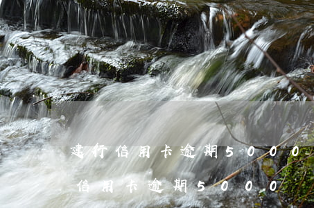 建行信用卡逾期5000會不會起訴-建行信用卡逾期5000會不會起訴銀行