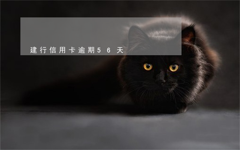 建行信用卡逾期56天
