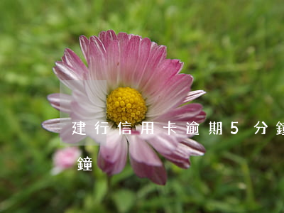 建行信用卡逾期5分鐘（建行信用卡逾期5分鐘）