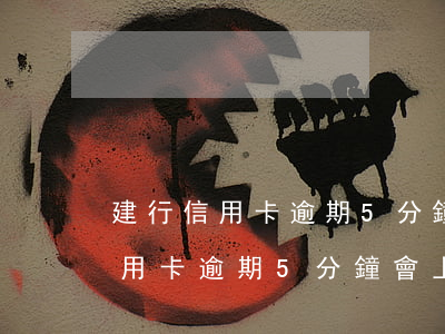 建行信用卡逾期5分鐘會上征信嗎-建行信用卡逾期5分鐘會上征信嗎怎么辦