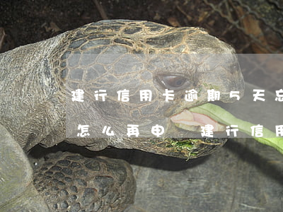 建行信用卡逾期5天忘記了(建行有逾期記錄怎么再申請建行信用卡)