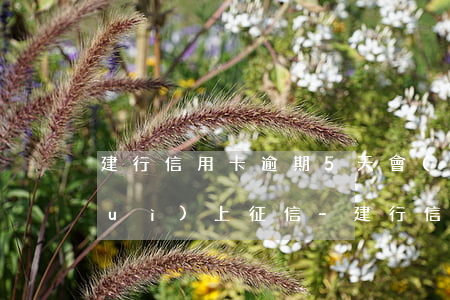 建行信用卡逾期5天會(huì)不會(huì)上征信-建行信用卡逾期5天會(huì)不會(huì)上征信記錄