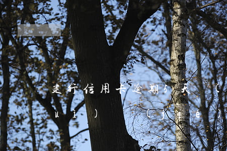 建行信用卡逾期5天會(huì)不會(huì)凍結(jié)-建行信用卡逾期5天會(huì)不會(huì)凍結(jié)銀行卡