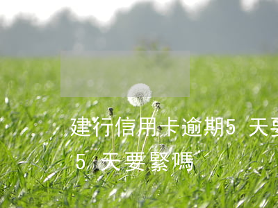 建行信用卡逾期5天要緊嗎(建行信用卡逾期5天要緊嗎)