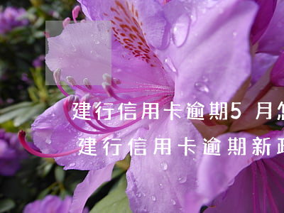 建行信用卡逾期5月怎么协商-2021年建行信用卡逾期新政策