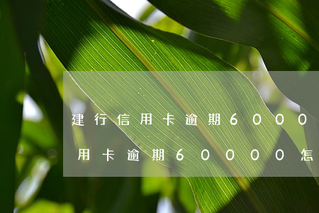 建行信用卡逾期60000怎么辦-建行信用卡逾期60000怎么辦的