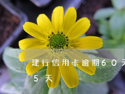 建行信用卡逾期60天內(建設銀行卡逾期15天)