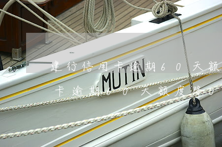 建行信用卡逾期60天额度降0-建行信用卡逾期60天额度降0怎么办
