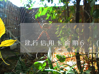 建行信用卡逾期6個(gè)月被起訴-建設(shè)銀行信用卡 逾期