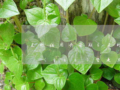 建行信用卡逾期6(建行信用卡逾期60天要報(bào)警是真的嗎?)