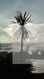 建行信用卡逾期72天會上門嗎(建行信用卡能逾期幾天)