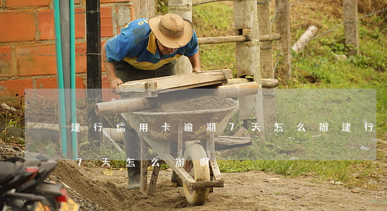 建行信用卡逾期7天怎么辦(建行信用卡逾期7天怎么辦啊)