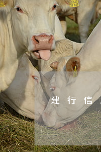 建行信用卡逾期7年沒還