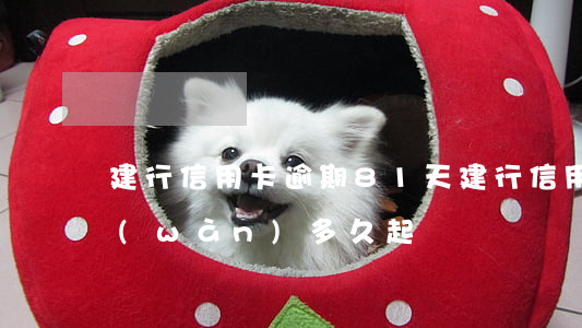 建行信用卡逾期81天(建行信用卡逾期一萬(wàn)多久起訴)