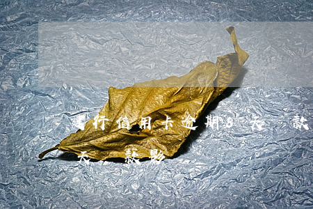 建行信用卡逾期8天還款(建行信用卡逾期8天還款影響)