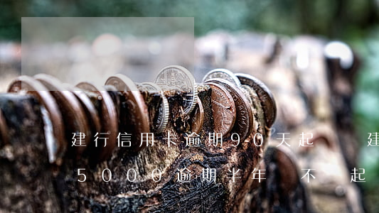 建行信用卡逾期90天起訴嗎(建行信用卡15000逾期半年會不會起訴)