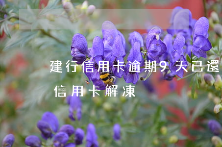 建行信用卡逾期9天已還清(建行逾期90天信用卡解凍)
