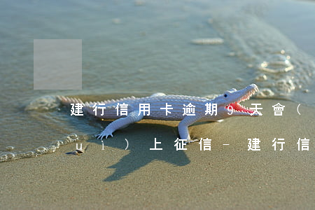 建行信用卡逾期9天會(huì)不會(huì)上征信-建行信用卡逾期9天會(huì)不會(huì)上征信記錄