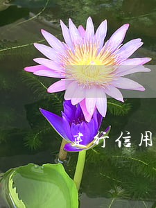 建行信用卡逾期I鎖(建行信用卡逾期i鎖)