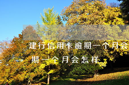 建行信用卡逾期一个月会怎样(建行信用卡逾期一个月会怎样)