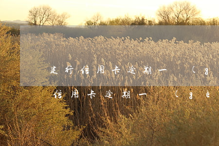 建行信用卡逾期一個(gè)月會怎樣(建行信用卡逾期一個(gè)月會怎樣)