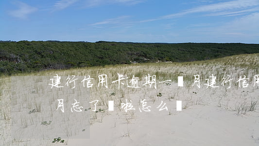 建行信用卡逾期一個月(建行信用卡逾期一個月忘了還啦怎么辦)