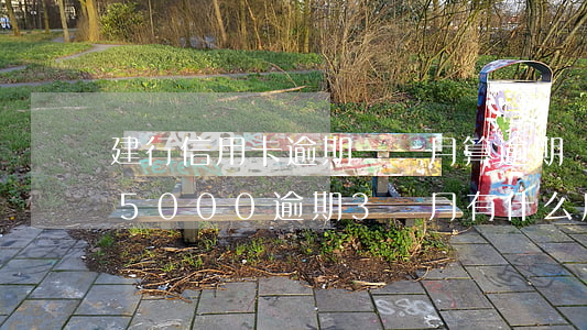 建行信用卡逾期一個月算逾期嗎(建行信用卡5000逾期3個月有什么后果)