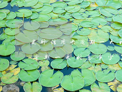 建行信用卡逾期一天利息多少錢(建行信用卡逾期一天利息多少錢)