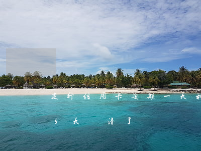 建行信用卡逾期一天利息(建行信用卡逾期15天還清了)