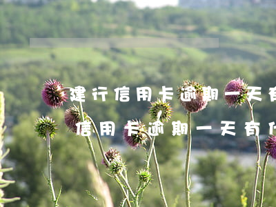 建行信用卡逾期一天有什么影響沒有-建行信用卡逾期一天有什么影響沒有逾期