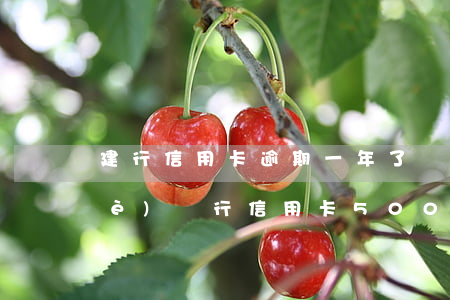 建行信用卡逾期一年了還能辦嗎 建設(shè)銀行信用卡5000逾期一年多了會(huì)怎么樣
