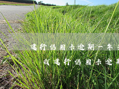 建行信用卡逾期一年多了會(huì)怎么樣(我建行信用卡逾期一萬(wàn)多沒(méi)還,現(xiàn)在辦儲(chǔ)蓄卡可以辦嗎?)