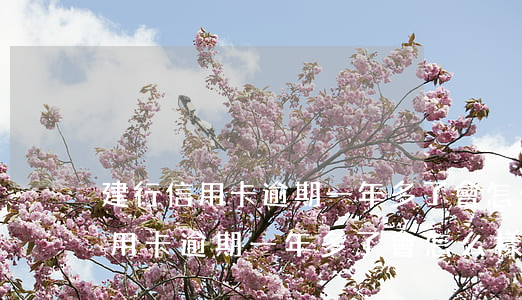 建行信用卡逾期一年多了會怎么樣-建行信用卡逾期一年多了會怎么樣嗎