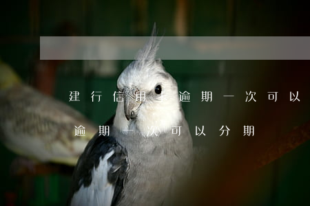 建行信用卡逾期一次可以分期嗎(建行信用卡逾期一次可以分期嗎還款嗎)