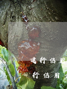 建行信用卡逾期一次性还能减免利息吗-建行信用卡逾期一次性还能减免利息吗
