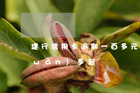建行信用卡逾期一百多元(建行信用卡一萬(wàn)多起訴)
